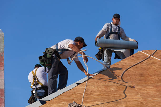 Best Local Roofing Companies  in Candor, NC